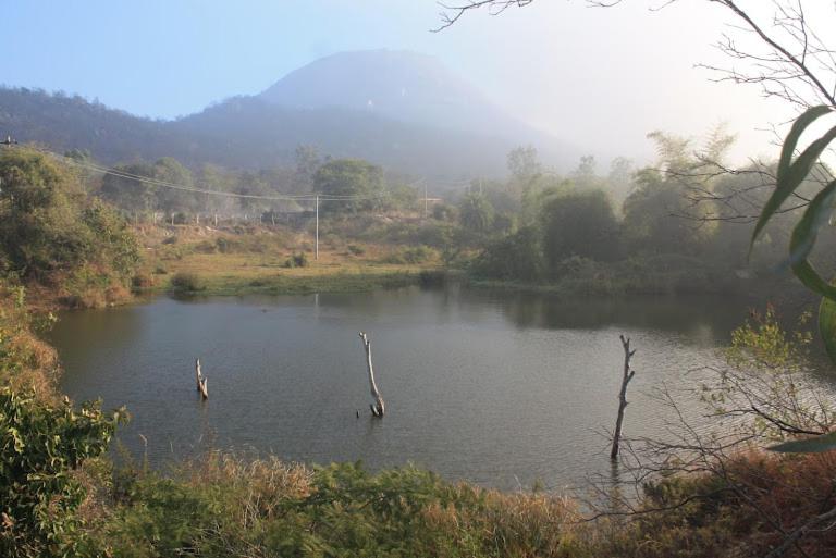 Отель Earthly Life