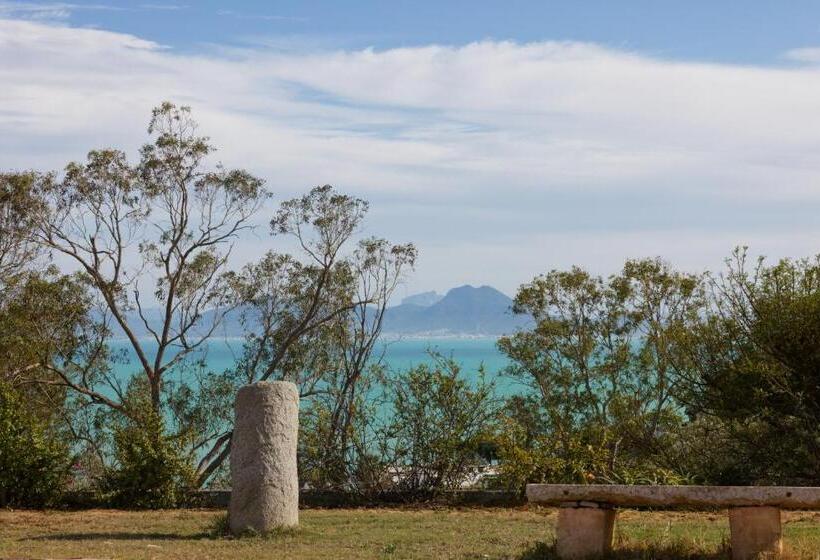 Lella Kmar B&b Avec Piscine Sidi Bou Said