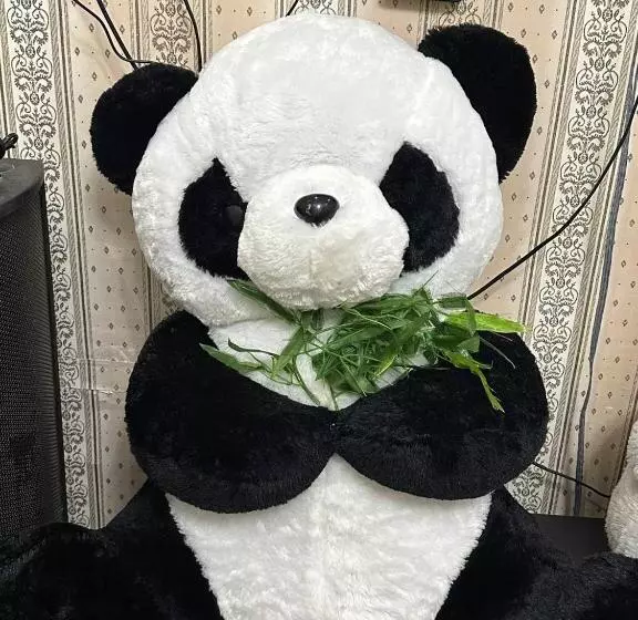 ペンション Karakalpak Travel