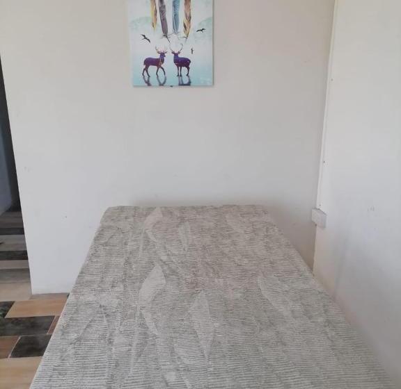 پانسیون Kestrel Appartment