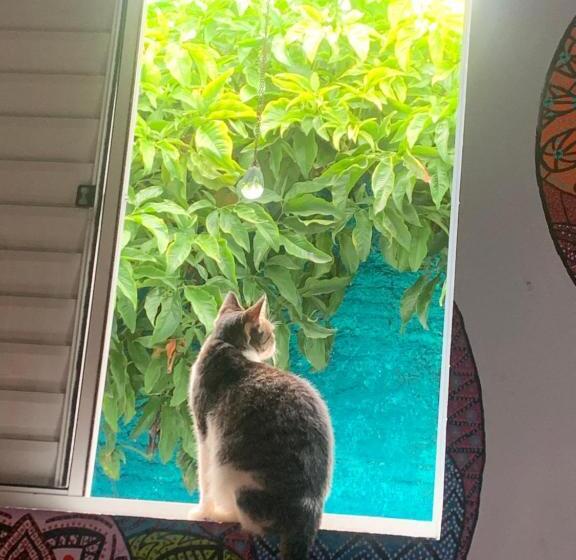 펜션 Toca Da Suzara Suíte 2 Até 4 Pessoas Piscina Rio E Mar Num Só Lugar