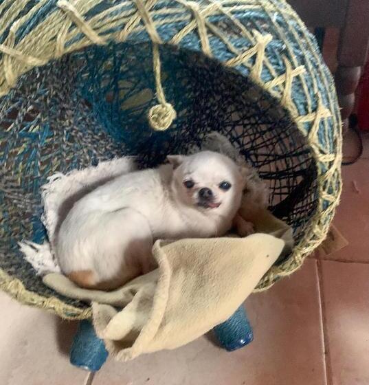 펜션 Toca Da Suzara Suíte 2 Até 4 Pessoas Piscina Rio E Mar Num Só Lugar