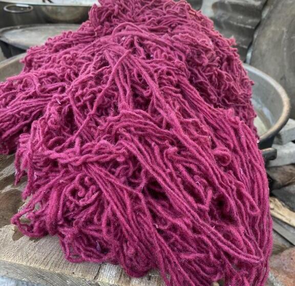 ベッドアンドブレックファースト Casa Gutiérrez