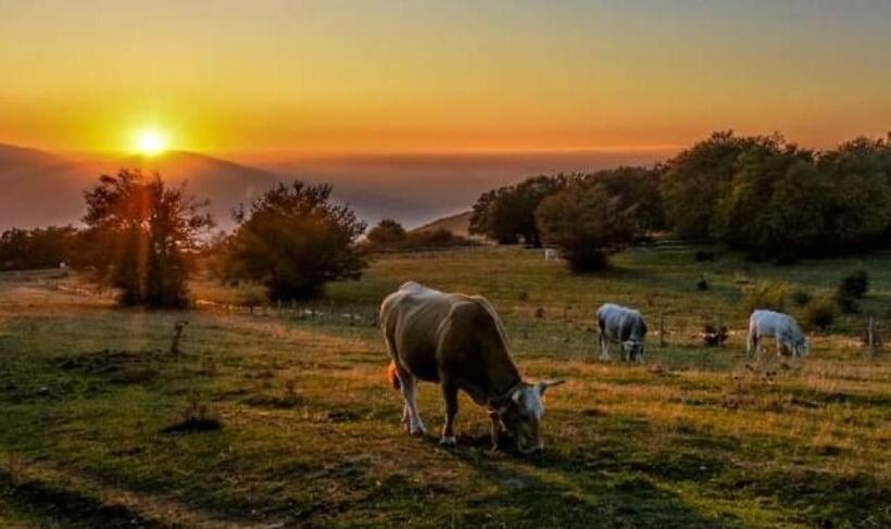 Nocleg ze śniadaniem La Segreta Del Castello, Private Access