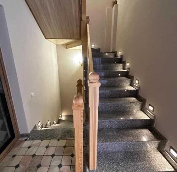 בית מלון כפרי Rizo Boutique Superior