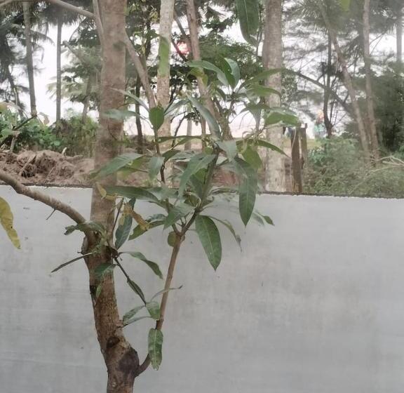 בית מלון כפרי Sea Breeze Marari Beach Front Villas