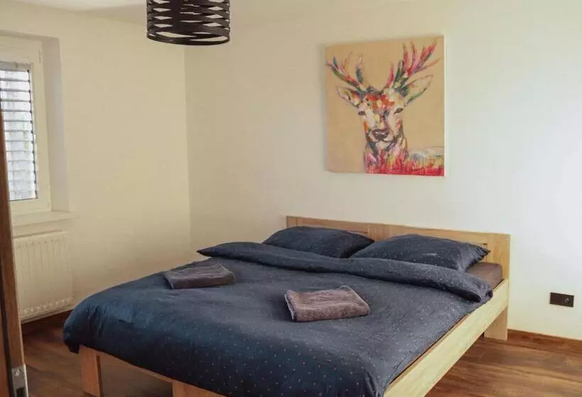 Iq Apartments