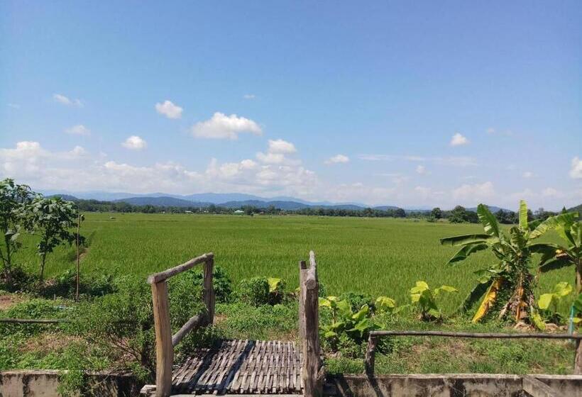 بنسيون เฮือนริมทุ่งมีแสน