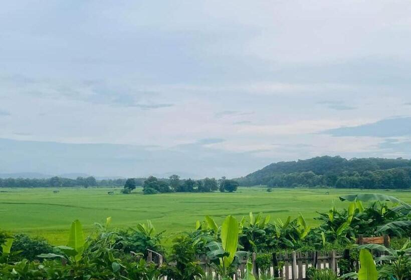 بنسيون เฮือนริมทุ่งมีแสน