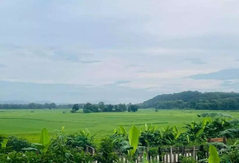 ペンション เฮือนริมทุ่งมีแสน