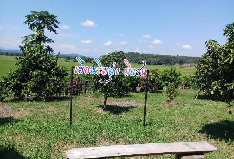 بنسيون เฮือนริมทุ่งมีแสน