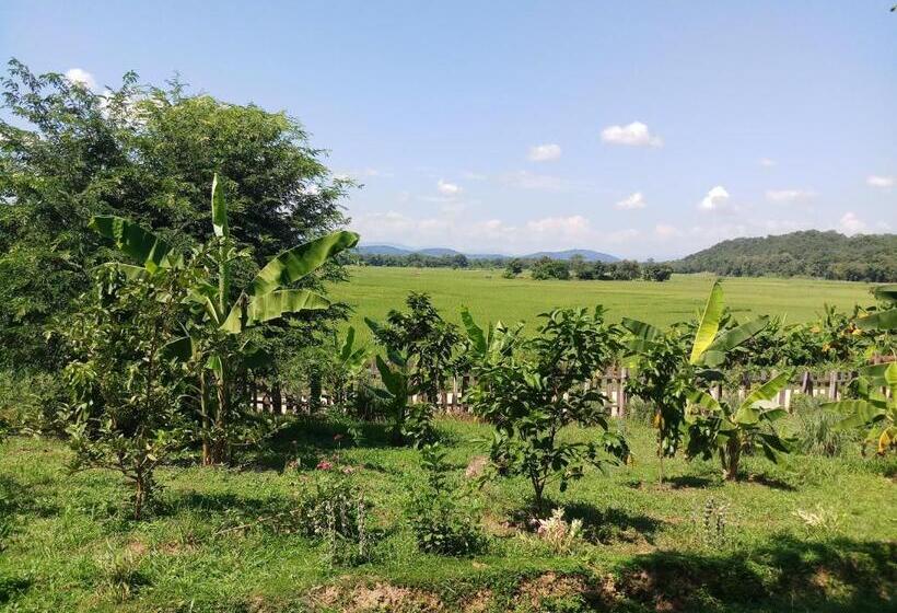 بنسيون เฮือนริมทุ่งมีแสน