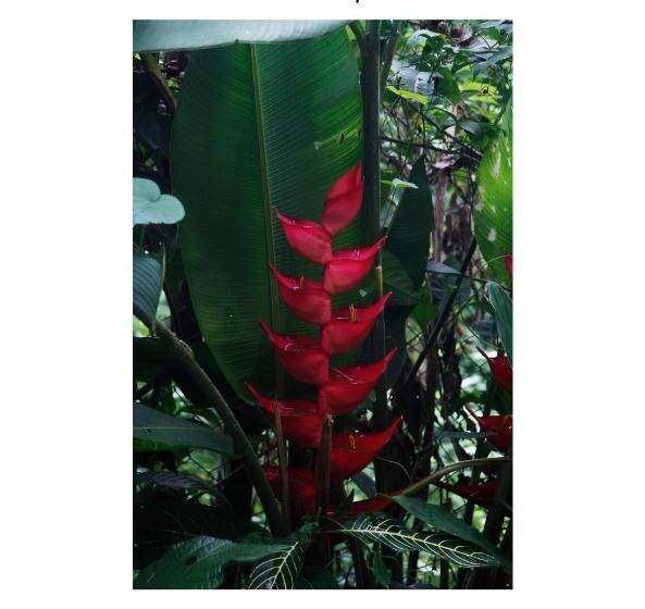 پانسیون Casa Semilla