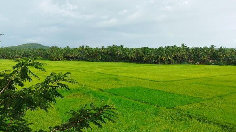 پانسیون Happyfields Farmstay