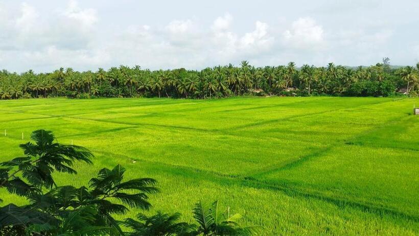 پانسیون Happyfields Farmstay