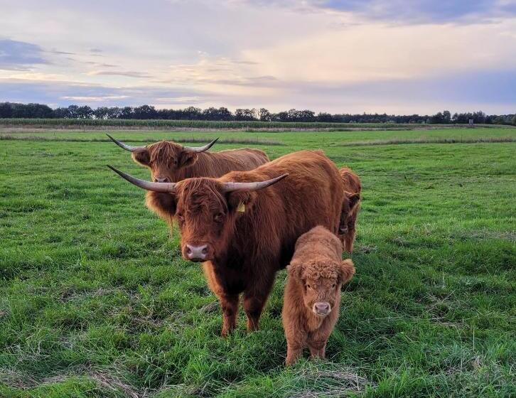 ペンション Hirschhof Hildebrandt