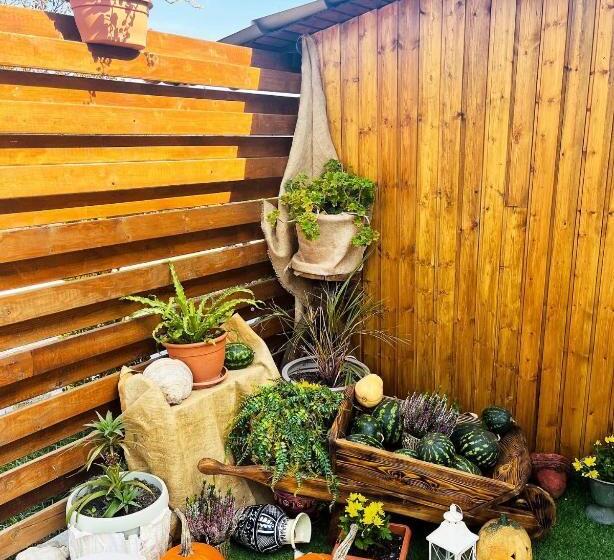 ペンション La Baciu