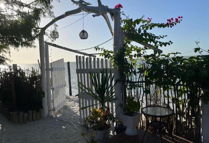 مبيت وإفطار Solita Beach Bungalow Kite Spot