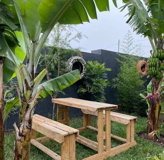 민박 The Safari Hub