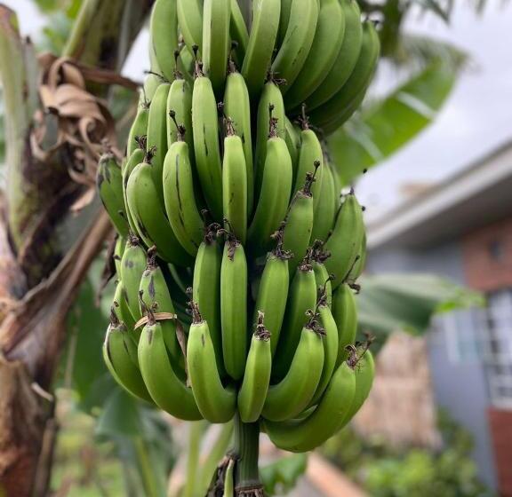 민박 The Safari Hub