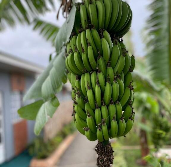 민박 The Safari Hub