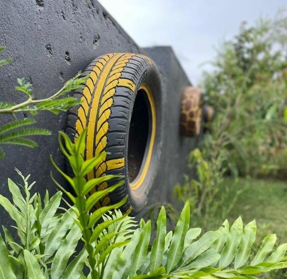 민박 The Safari Hub