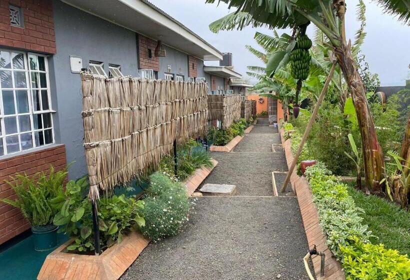 ベッドアンドブレックファースト The Safari Hub