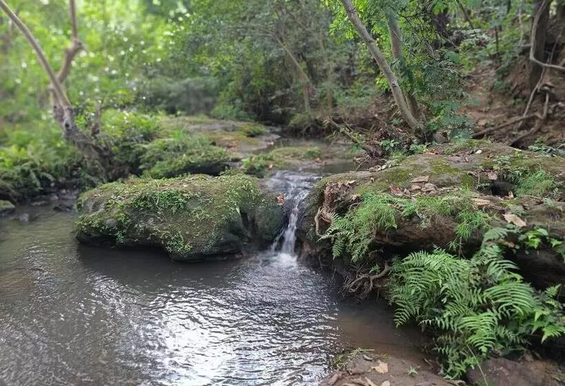 ホテル Green Woods Resort