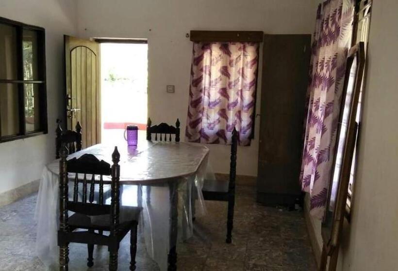 Отель Hasanmukhi Home Stay