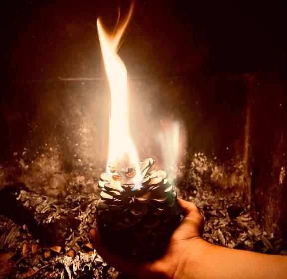 ペンション Hostal Restaurante Andra