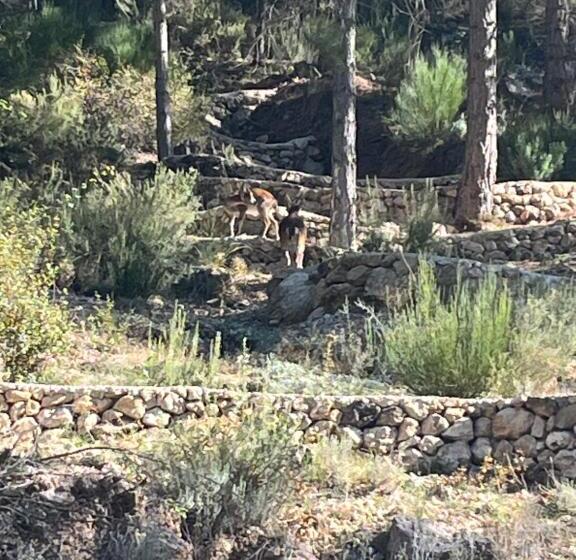 ペンション Hostal Restaurante Andra