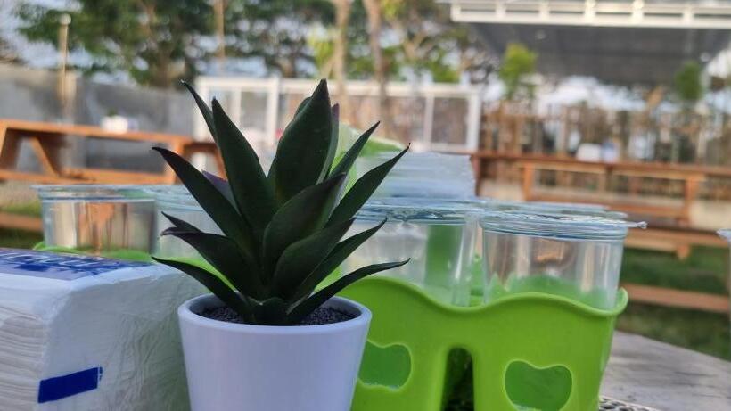 Pensjonat Mayeka Transit Hostel Bandara Internasional Lombok