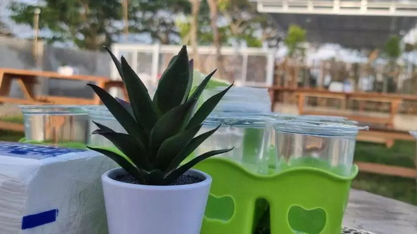 ペンション Mayeka Transit Hostel Bandara Internasional Lombok