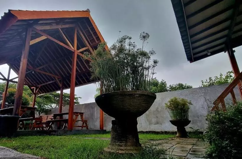 ペンション Mayeka Transit Hostel Bandara Internasional Lombok