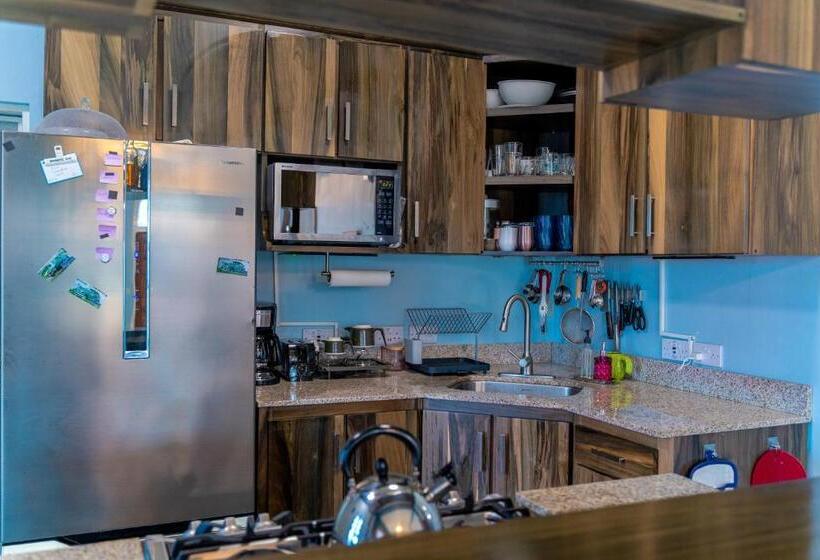 پانسیون The Green House On Bedford Street   Portsmouth