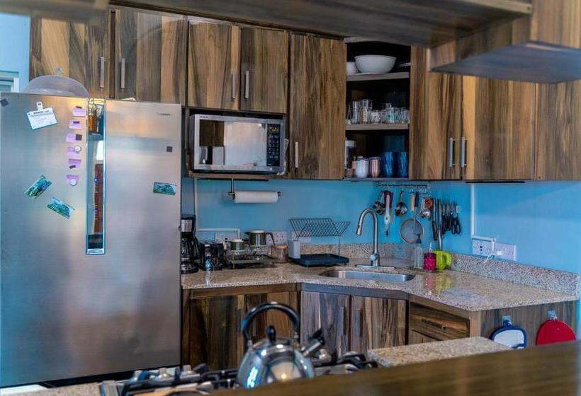 پانسیون The Green House On Bedford Street   Portsmouth