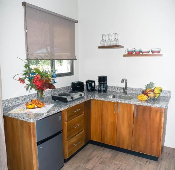 ベッドアンドブレックファースト Luxury Apartments Nauyaca By Paradiselodge