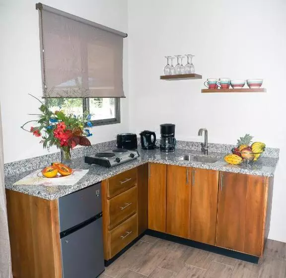 Aamiaismajoitus (B&B) Luxury Apartments Nauyaca By Paradiselodge