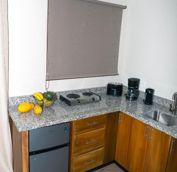 ベッドアンドブレックファースト Luxury Apartments Nauyaca By Paradiselodge