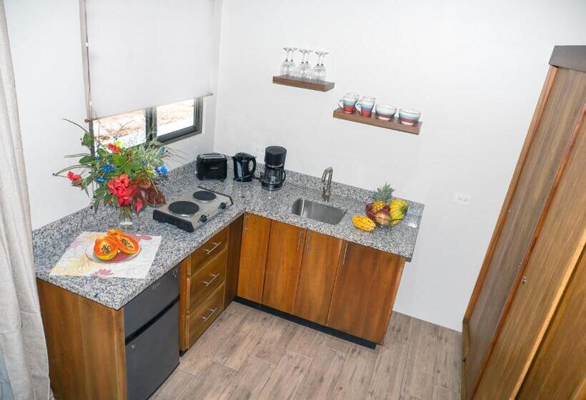 ベッドアンドブレックファースト Luxury Apartments Nauyaca By Paradiselodge