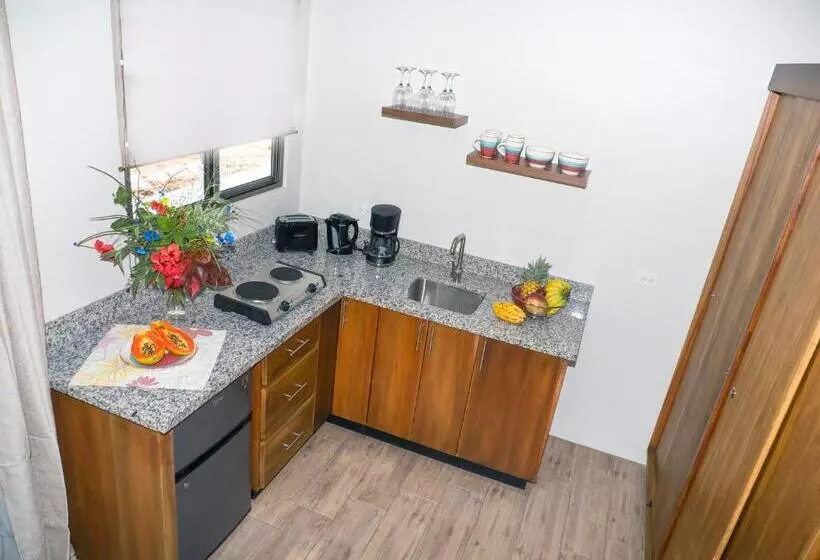 Aamiaismajoitus (B&B) Luxury Apartments Nauyaca By Paradiselodge