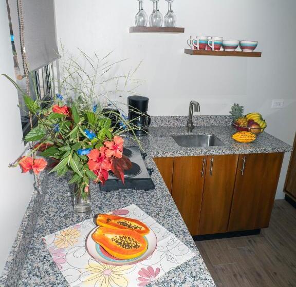 ベッドアンドブレックファースト Luxury Apartments Nauyaca By Paradiselodge