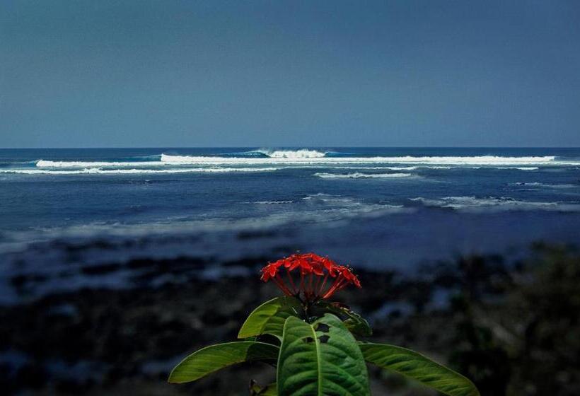 فندق Oceanfront Bungalows   Paradise Rentals