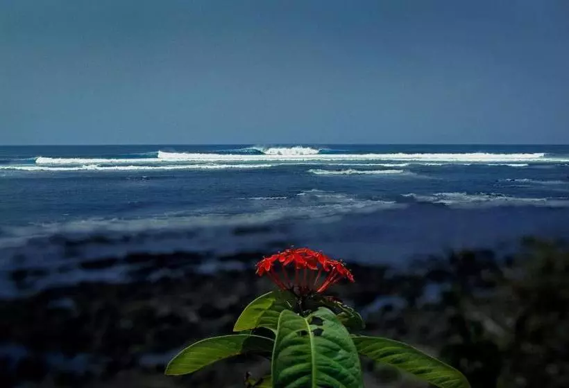 ホテル Oceanfront Bungalows   Paradise Rentals