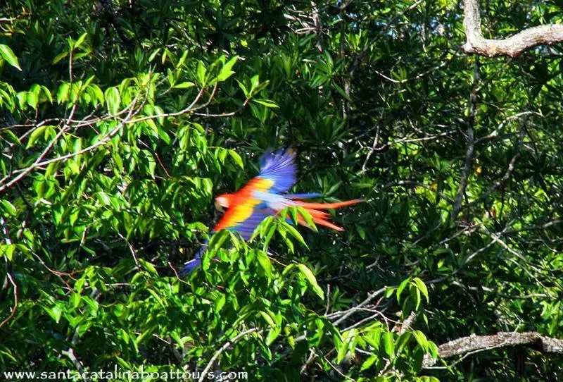 ホテル Oceanfront Bungalows   Paradise Rentals