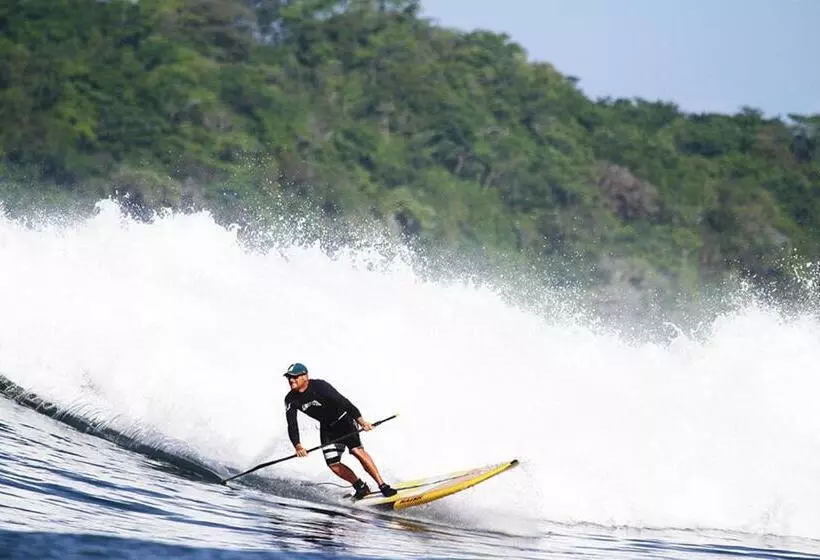 ホテル Oceanfront Bungalows   Paradise Rentals