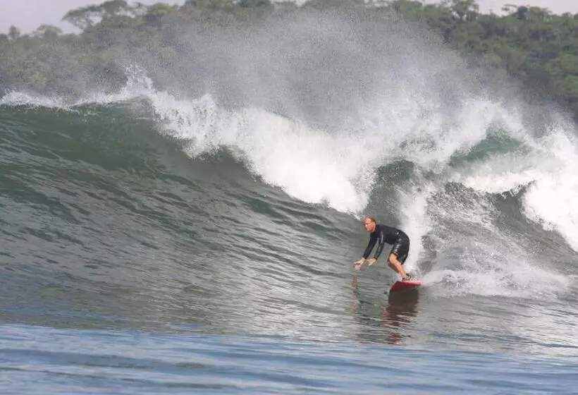 ホテル Oceanfront Bungalows   Paradise Rentals