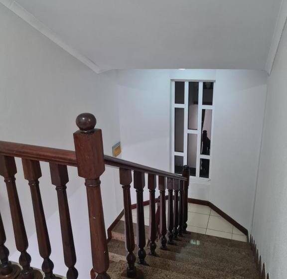 فندق Pastello Guest House