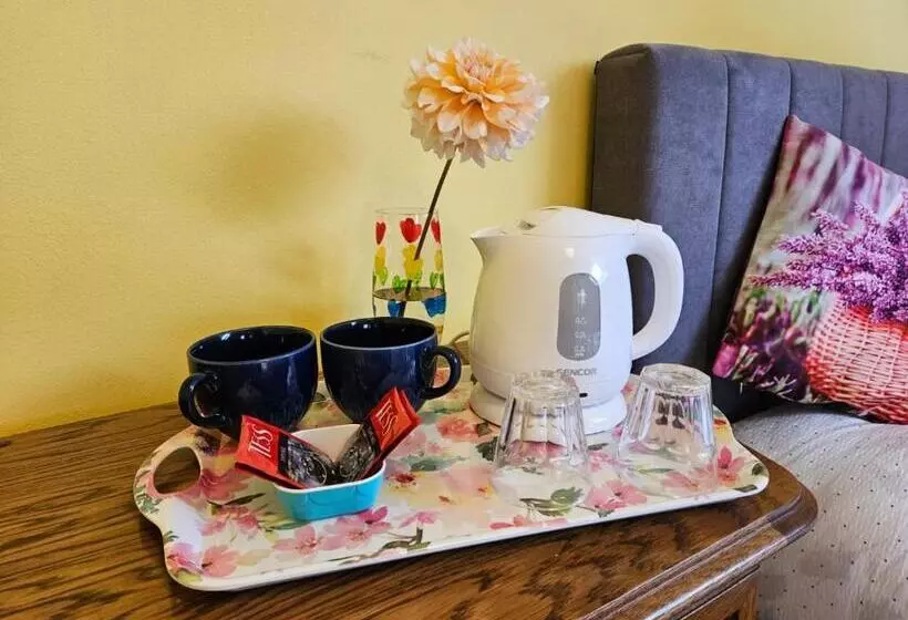 ペンション Czech Paradise Family Guest House With Breakfast & Garden