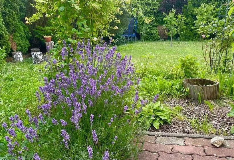 ペンション Czech Paradise Family Guest House With Breakfast & Garden